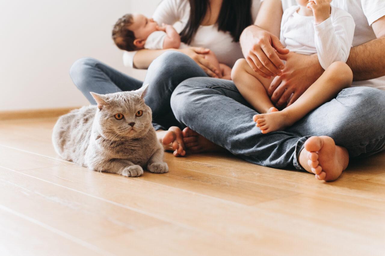 partial view of parents with two sons and grey british shorthair cat sitting on floor at home